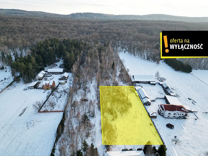 Działka budowlana 3125 m² w Lechowie – spokojna okolica Lechów  4 000m2 Foto 1