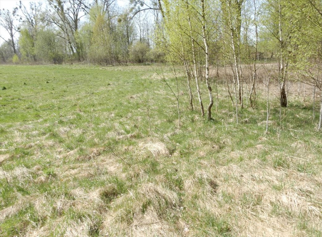 Działka budowlana na sprzedaż Tałty 42m2 Foto 1 Działka budowlana na sprzedaż Tałty 42m2 Foto 1