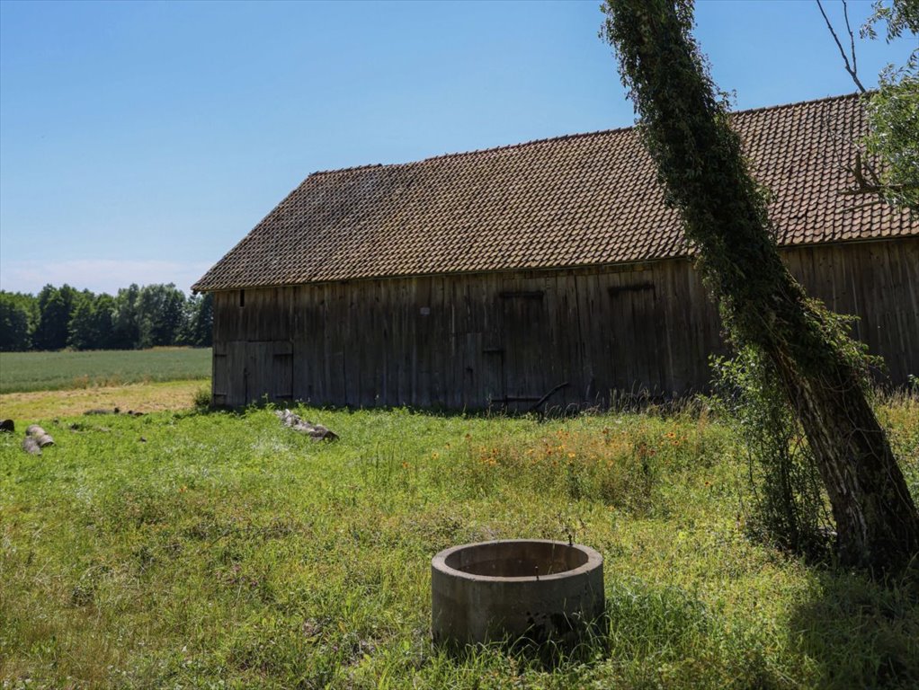 Działka siedliskowa na sprzedaż Stare Siedlisko  135 470m2 Foto 6