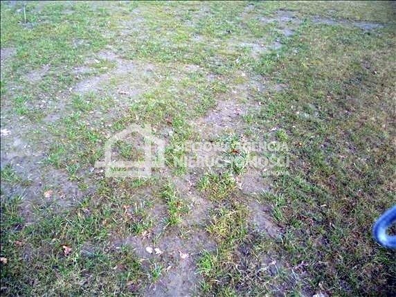 Działka budowlana na sprzedaż Małkowo 816m2 Foto 1 Działka budowlana na sprzedaż Małkowo 816m2 Foto 1