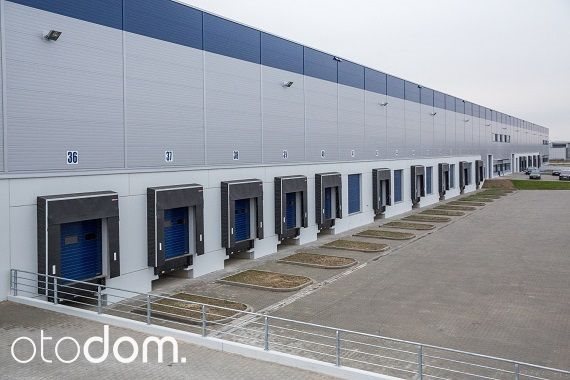 Lokal użytkowy na wynajem Poznań, Grunwald 1 500m2 Foto 1 Lokal użytkowy na wynajem Poznań, Grunwald 1 500m2 Foto 1