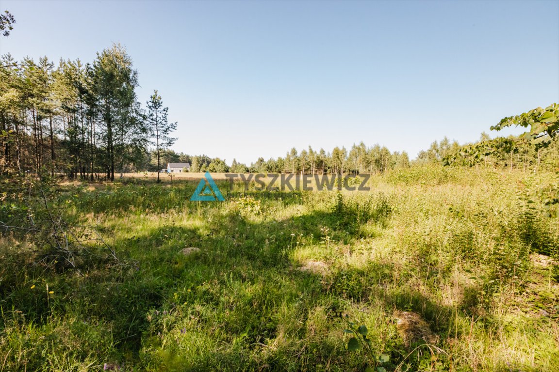 Działka budowlana na sprzedaż Kowalewo, Smolna  1 415m2 Foto 6