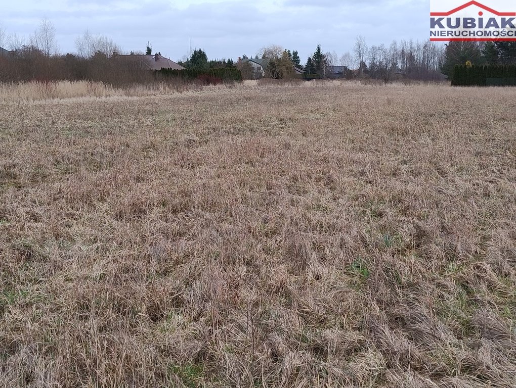 Działka budowlana na sprzedaż Kajetany  10 317m2 Foto 5