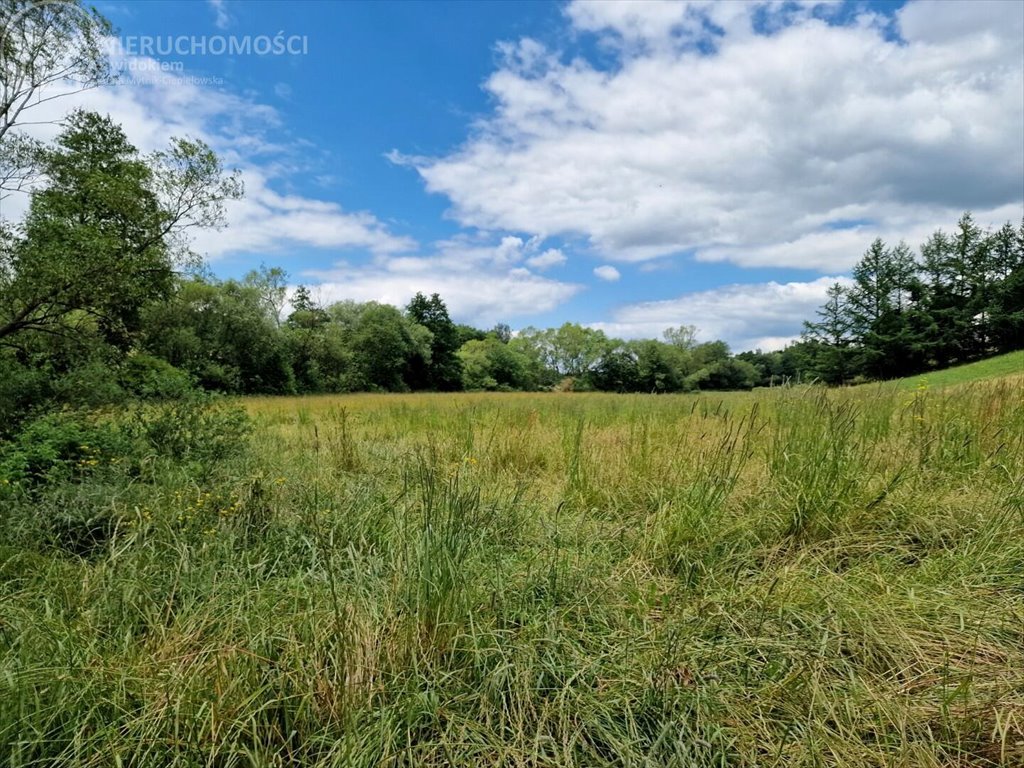 Działka budowlana na sprzedaż Sitnica  10 602m2 Foto 8