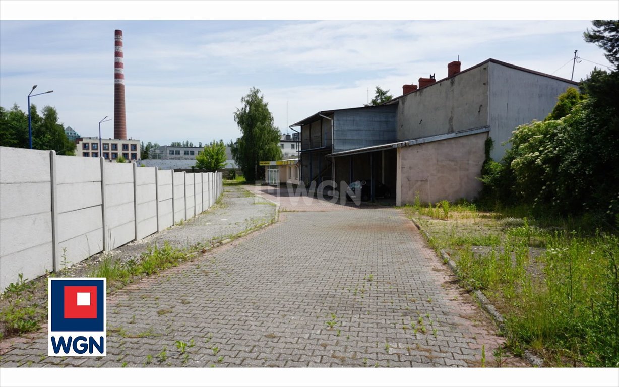 Zdjęcie 7