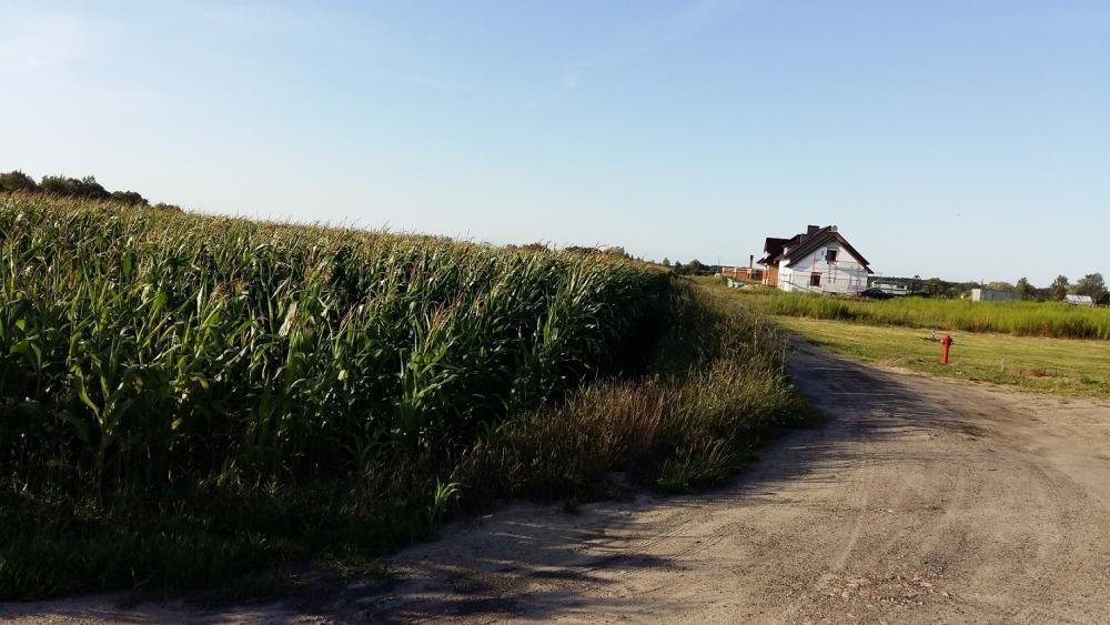 Działka inna na sprzedaż Grzebienisko, Jodłowa  3 830m2 Foto 2