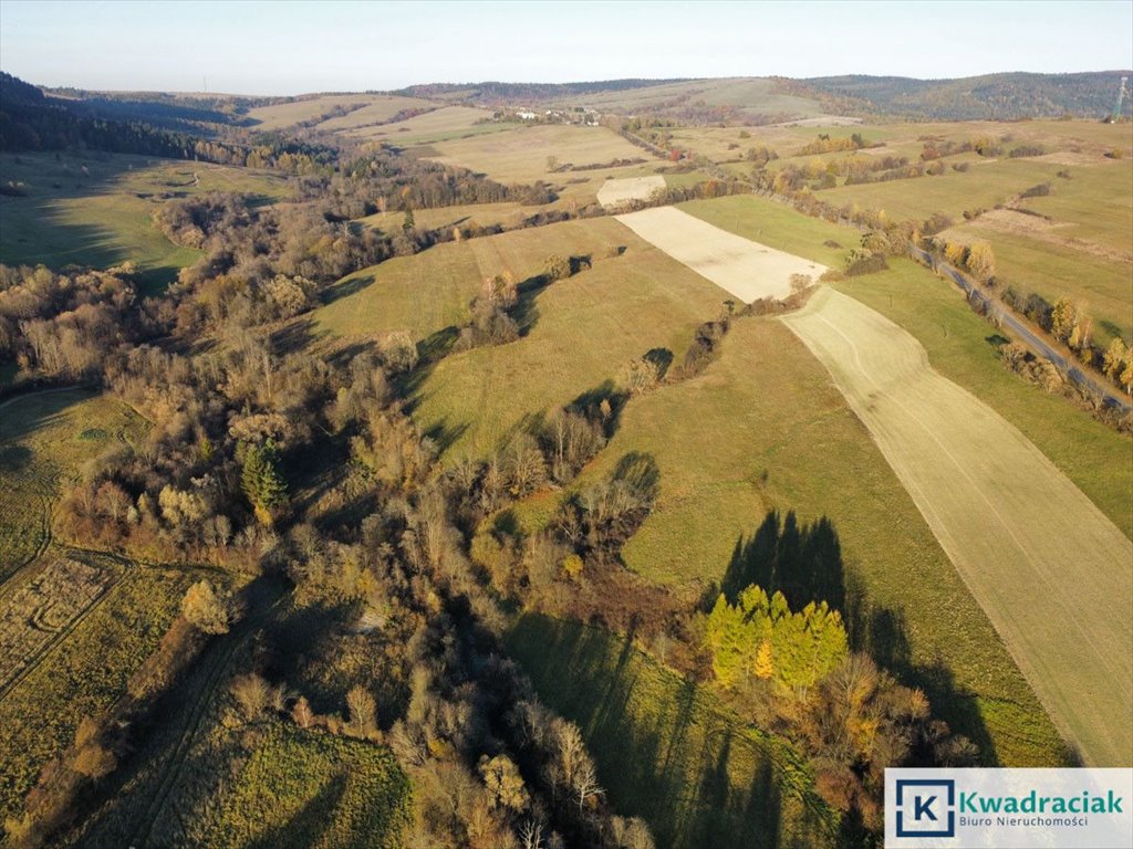 Działka rolna na sprzedaż Daliowa  35 000m2 Foto 2