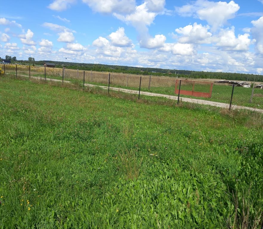 Działka inna na sprzedaż Wiewiórczyn  1 400m2 Foto 6