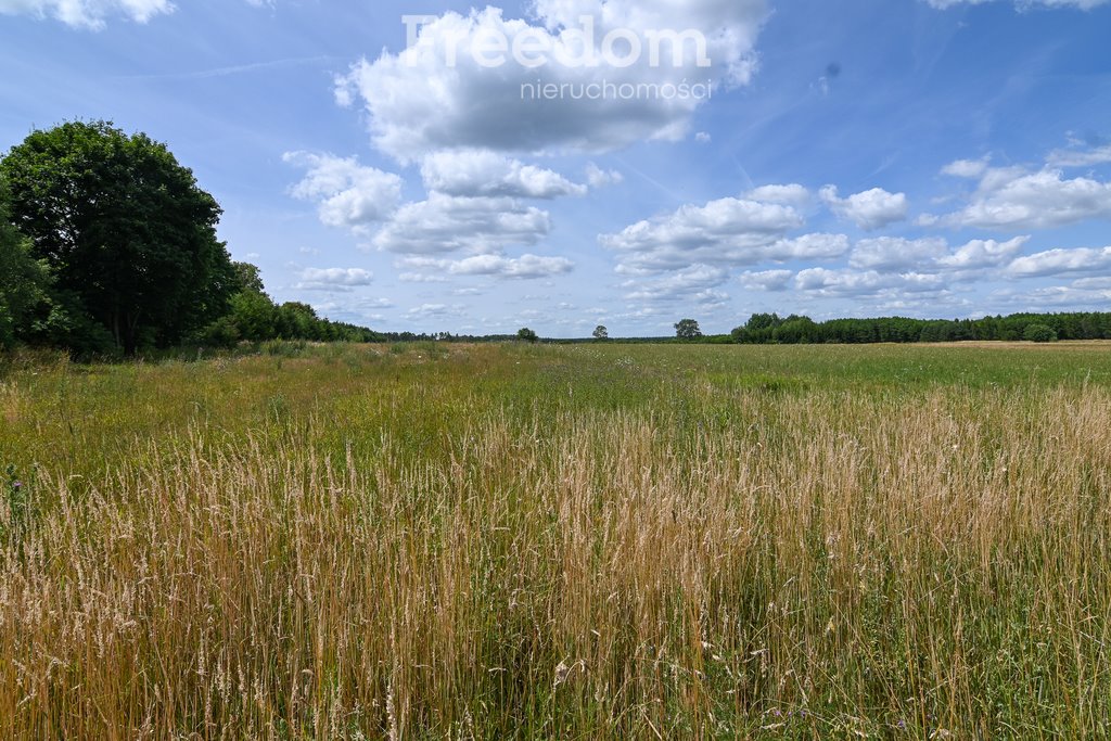 Działka rolna na sprzedaż Szwecja  4 800m2 Foto 5