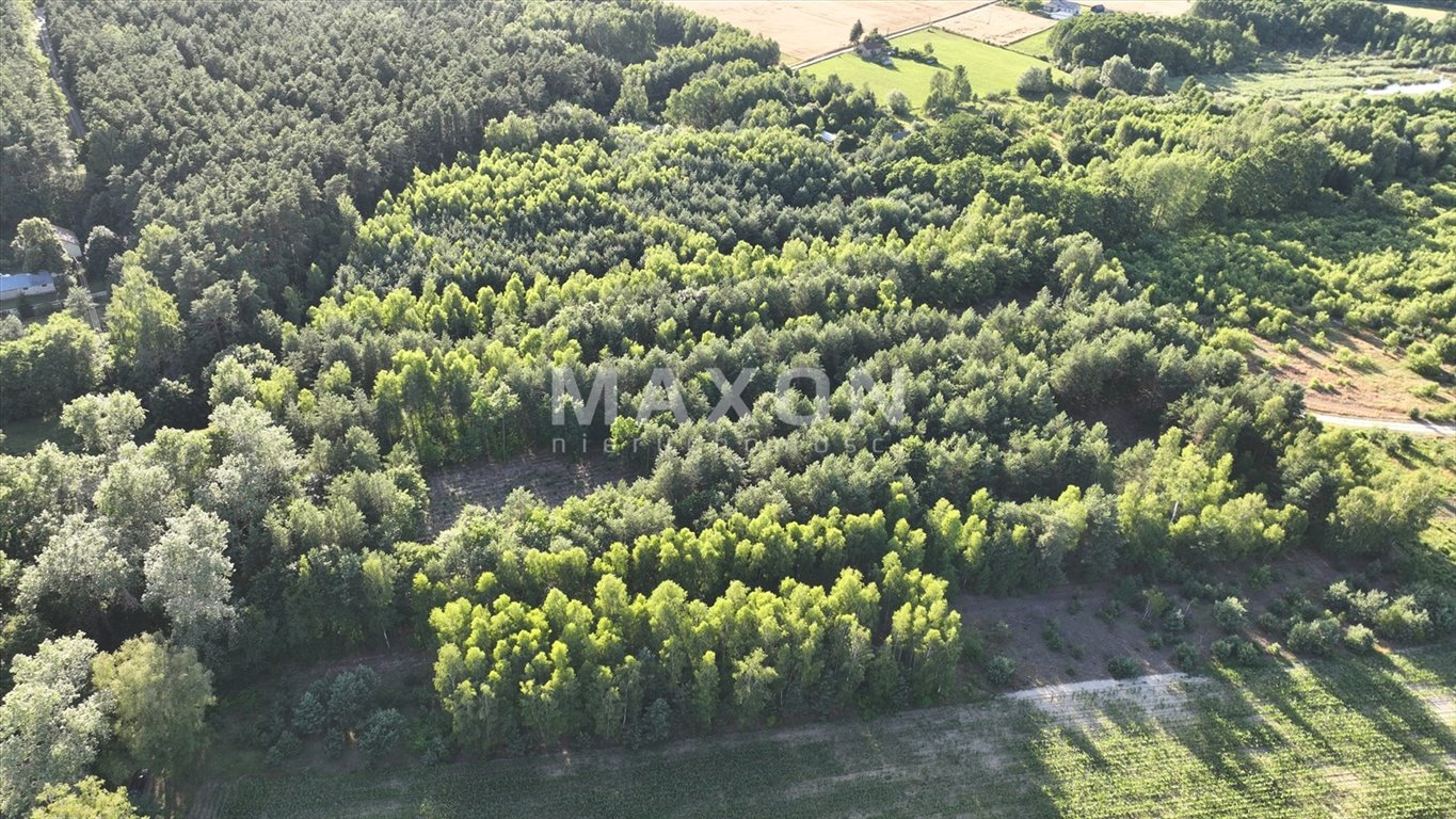 Działka rolna na sprzedaż Przepitki  6 325m2 Foto 5