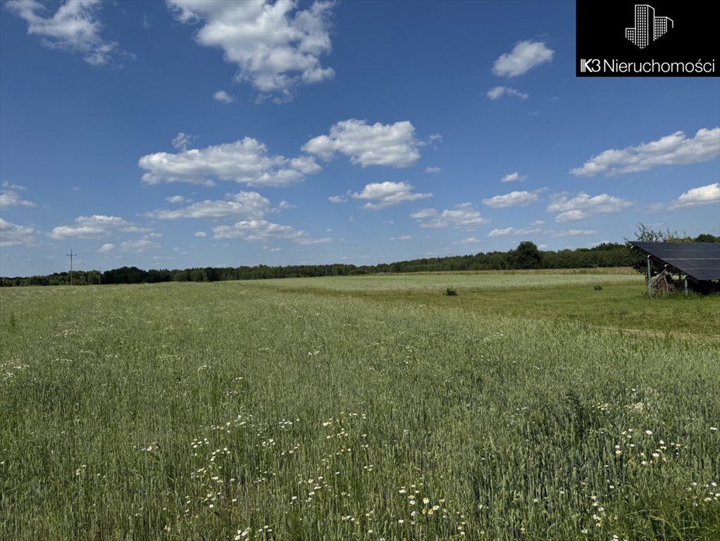 Działka budowlana na sprzedaż Czarna  12 100m2 Foto 2