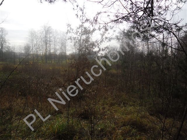 Działka leśna na sprzedaż Goździówka  3 692m2 Foto 5