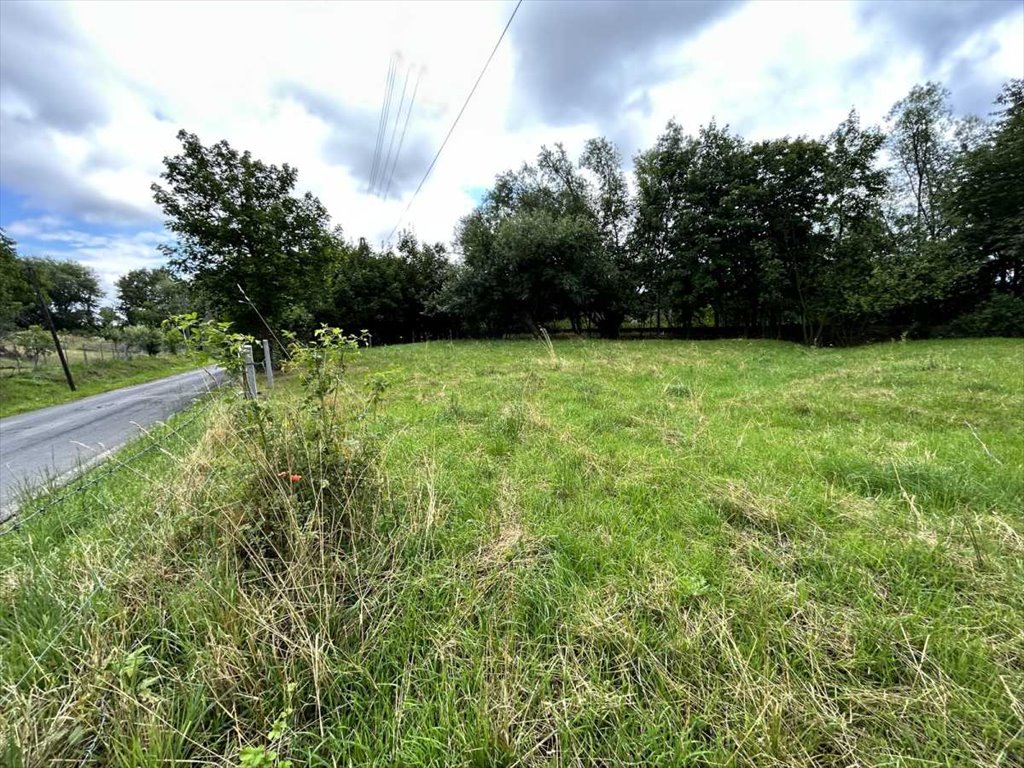 Działka 1442 m² z mediami, spokojna okolica, warunki zabudowy Stoszowice  1 442m2 Foto 1