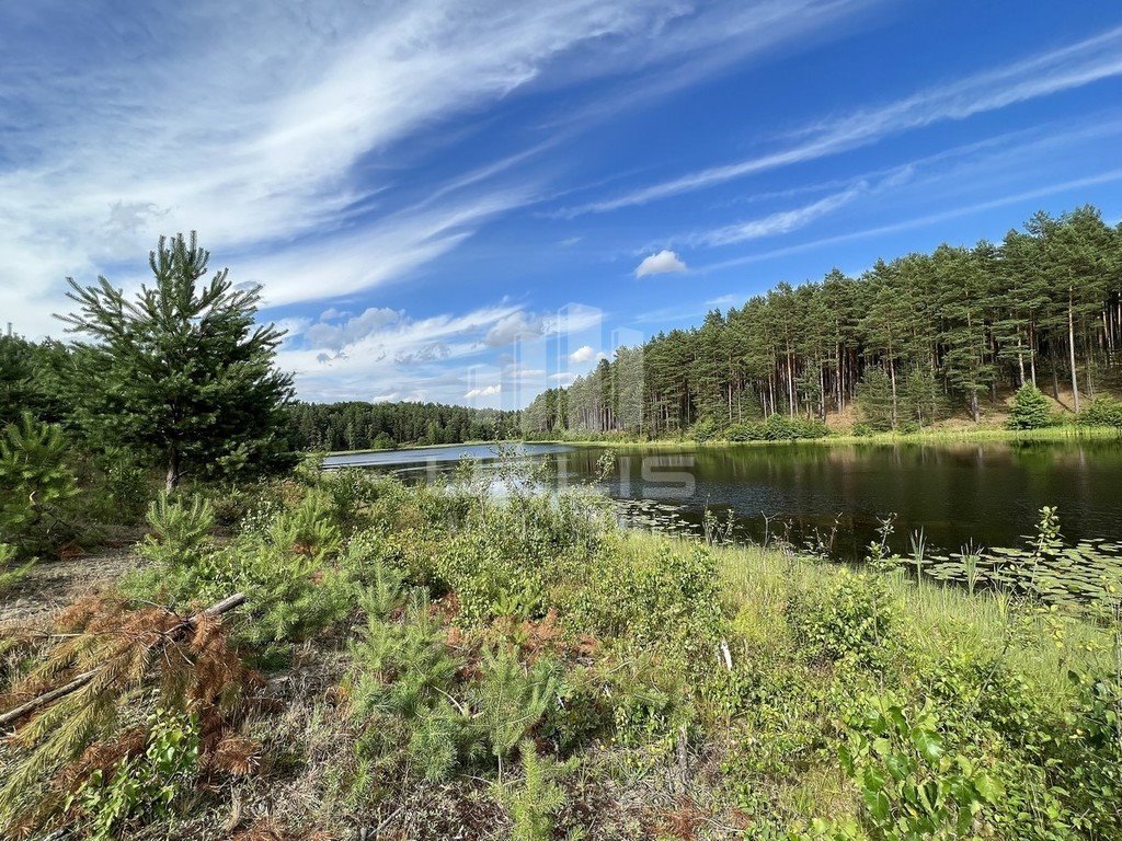 Działka inna na sprzedaż Cieciorka  4 539m2 Foto 14