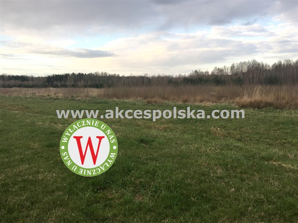 Działka inna na sprzedaż Zieleniec, Józefów  11 800m2 Foto 9