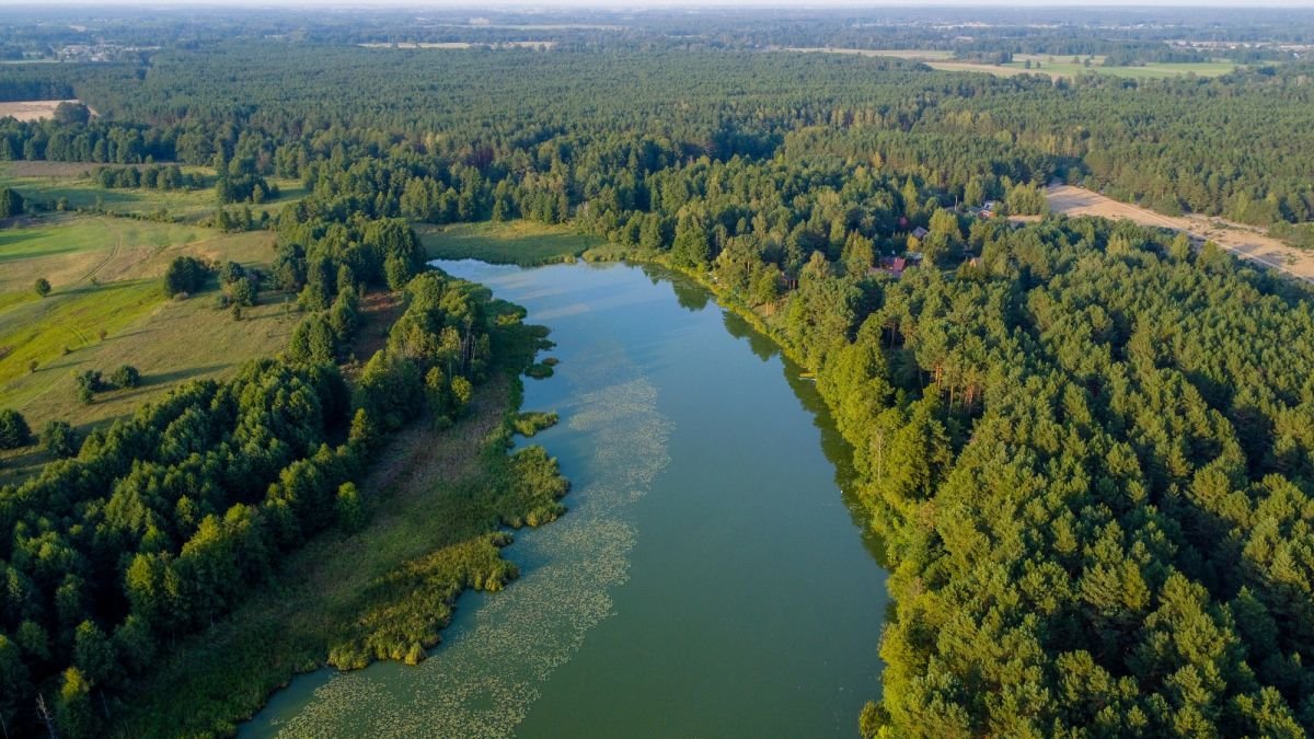 Działka inwestycyjna na sprzedaż Grądy Szlacheckie, Julianka  80 600m2 Foto 8