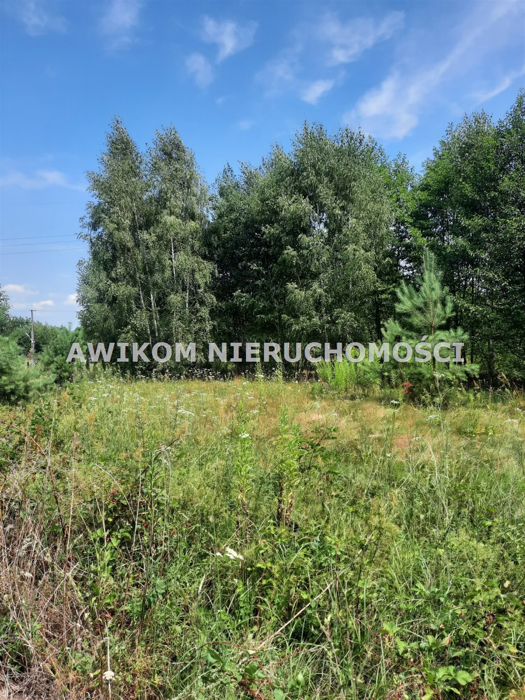 Działka inna na sprzedaż Łazy, Kolonia Ludwików  4 001m2 Foto 11