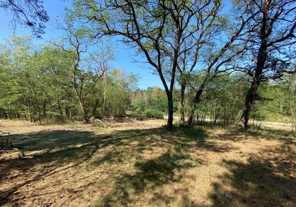 Działka budowlana na sprzedaż Marki, Bielówek  2 000m2 Foto 15