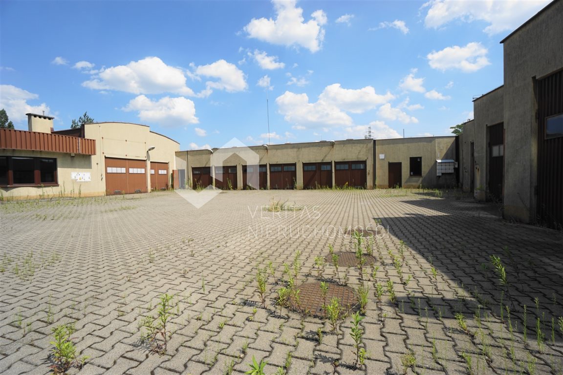 Lokal użytkowy na wynajem Katowice, Dąb 545m2 Foto 1 Lokal użytkowy na wynajem Katowice, Dąb 545m2 Foto 1