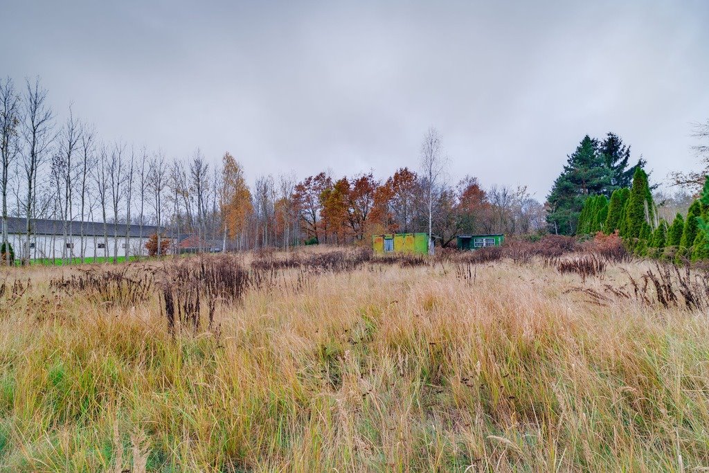 Działka budowlana na sprzedaż Porąb  2 446m2 Foto 5