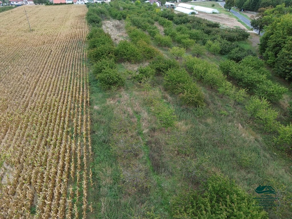 Działka rolna na sprzedaż Nieszawa  6 616m2 Foto 11