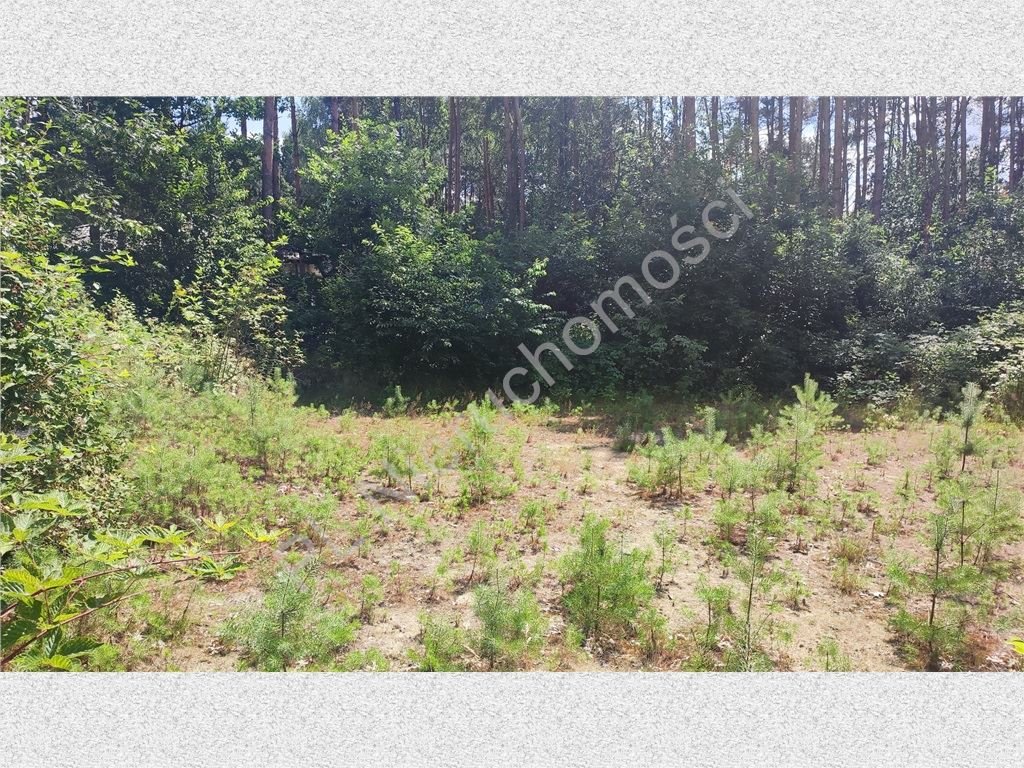 Działka budowlana na sprzedaż Makówka  1 900m2 Foto 1