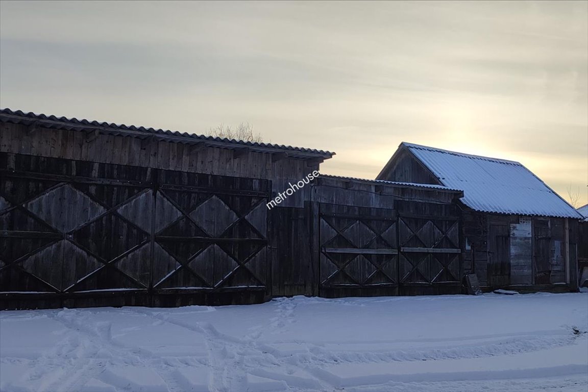 Działka rolna na sprzedaż Rozalin  86 600m2 Foto 2