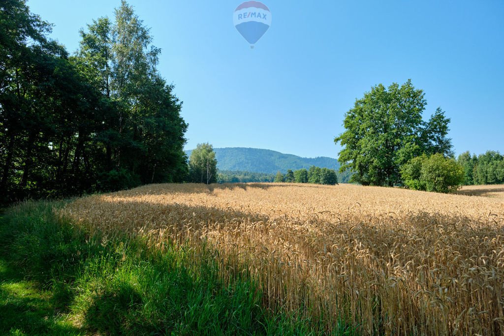 Działka rolna na sprzedaż Czaniec  4 082m2 Foto 14