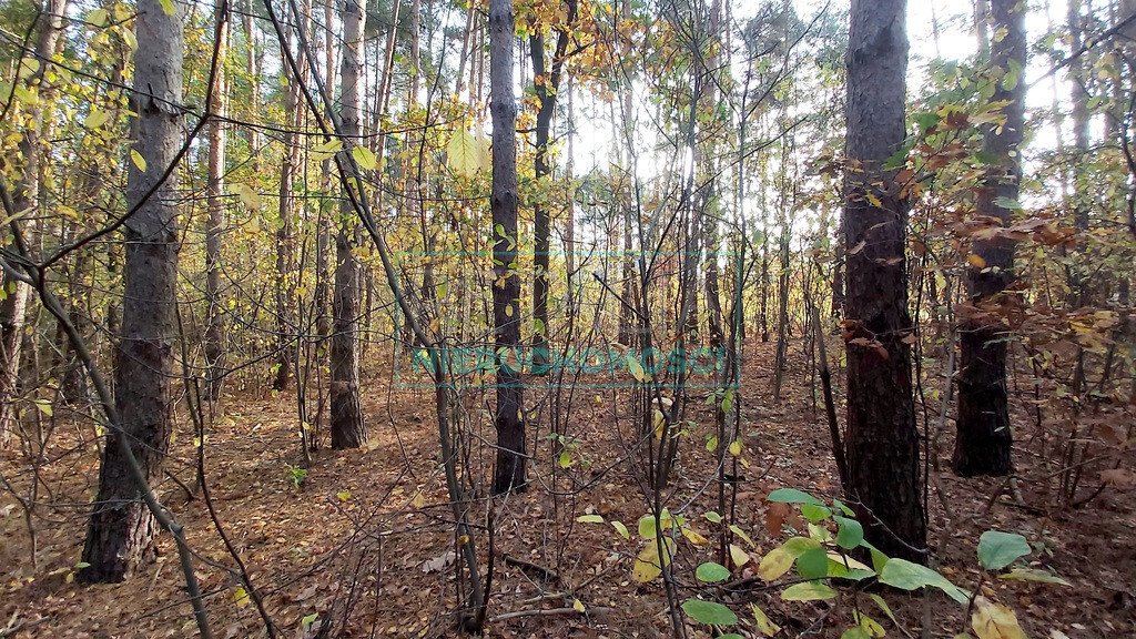 Działka budowlana na sprzedaż Bieniewiec  1 864m2 Foto 1