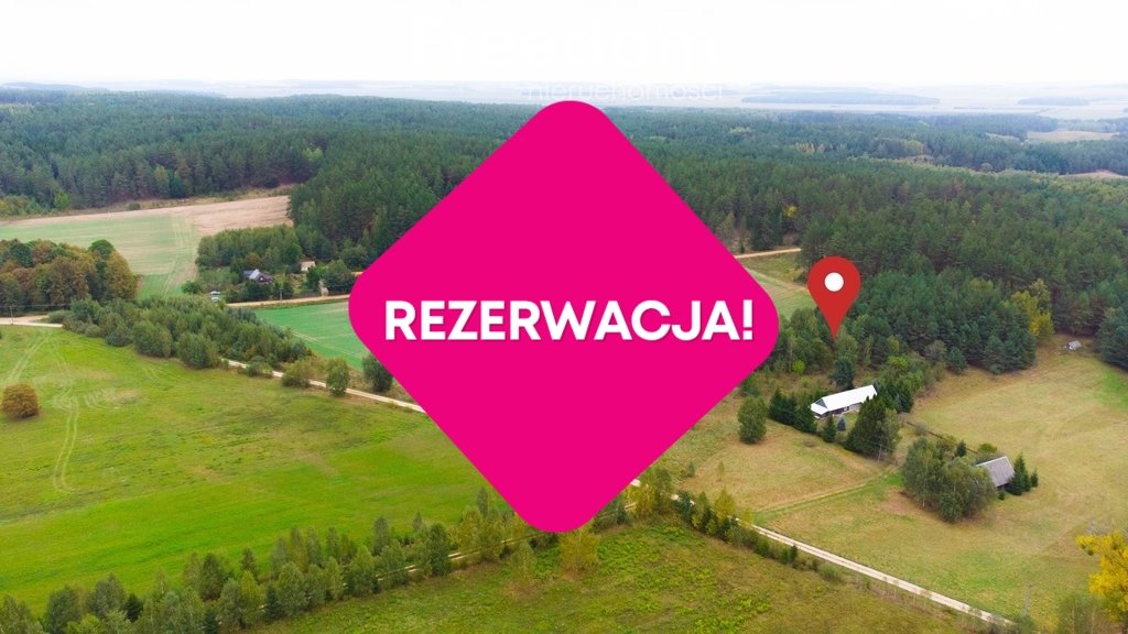 Działka siedliskowa na sprzedaż Łapicze  11 000m2 Foto 6