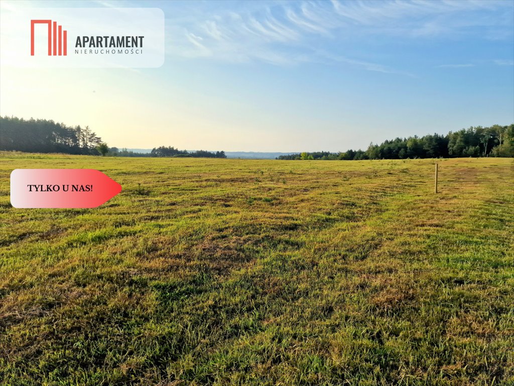 Działka budowlana na sprzedaż Czarże  1 000m2 Foto 7