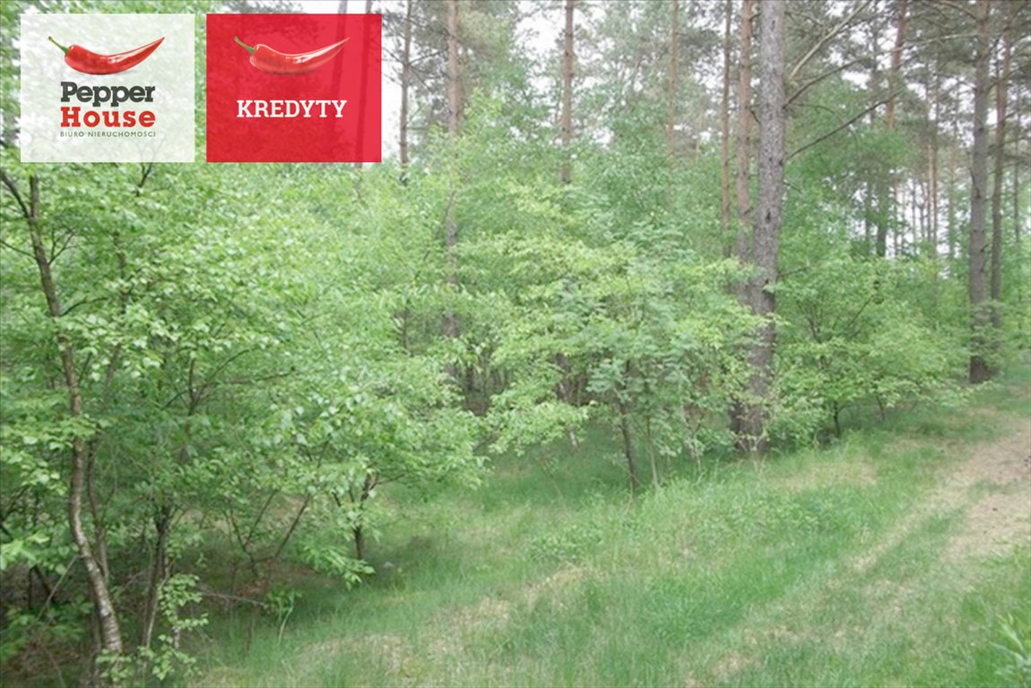 Działka leśna na sprzedaż Legbąd, Szkolna  3 049m2 Foto 1