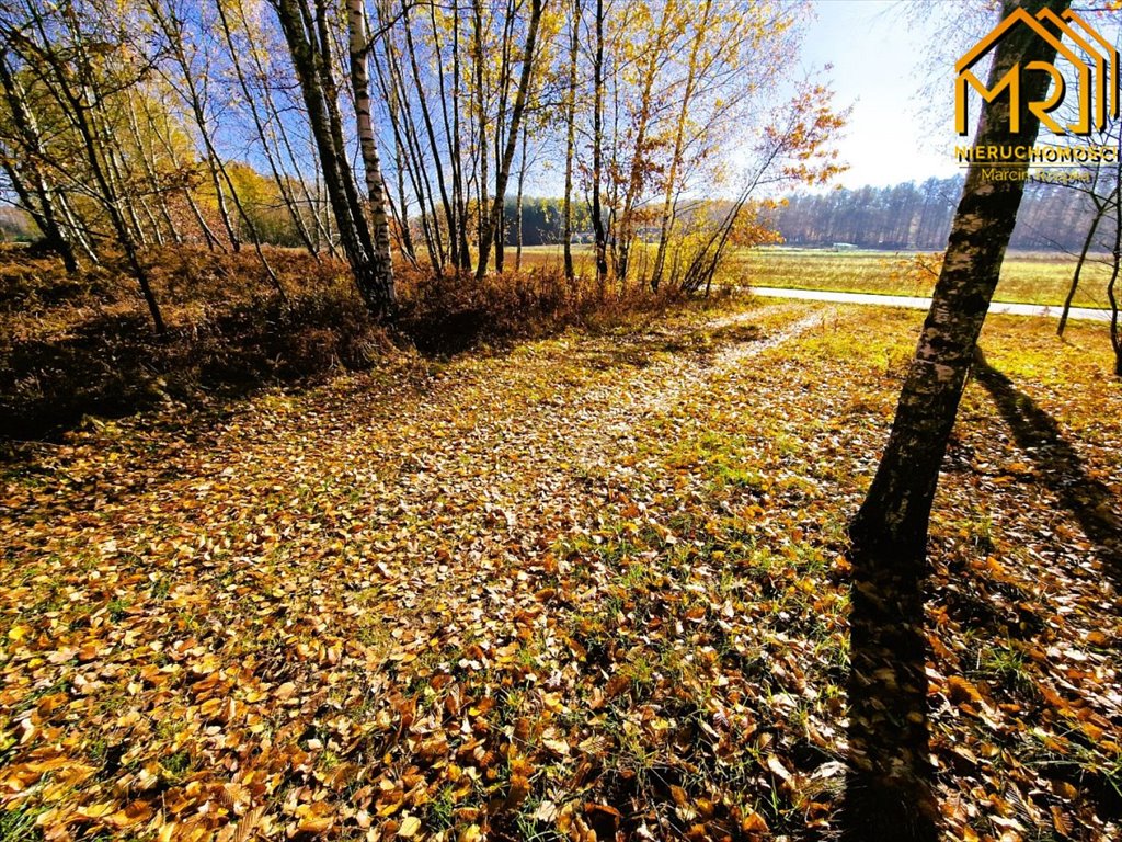 Działka inna na sprzedaż Pogórska Wola  2 389m2 Foto 14