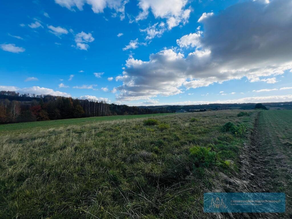 Działka budowlana na sprzedaż Rzeszów, Budziwój  5 700m2 Foto 4