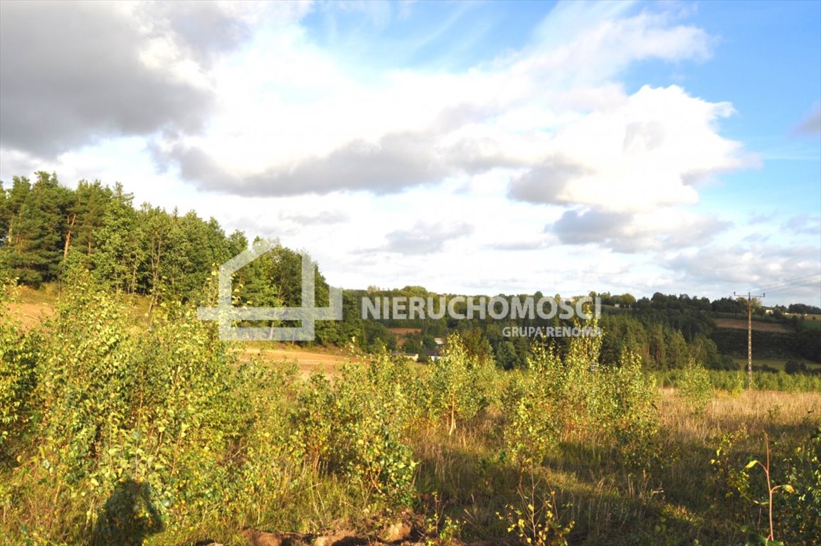 Działka budowlana na sprzedaż Borzestowo  1 500m2 Foto 9