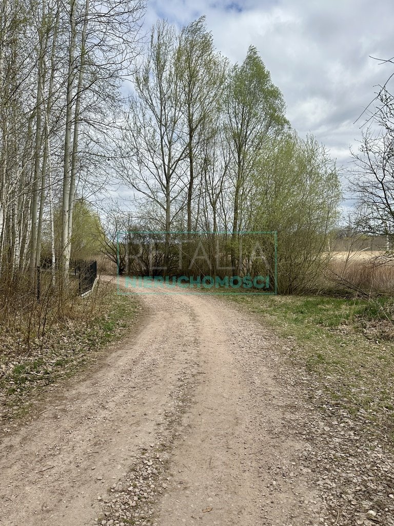 Działka 2000 m² z lasem, idealna pod dom w Strzeniówce Strzeniówka  2 000m2 Foto 1