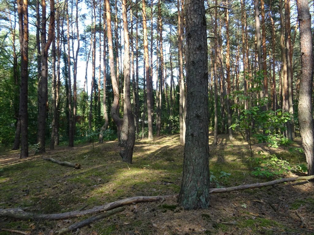 Działka przemysłowo-handlowa na sprzedaż Józefów, Aleksandra Puszkina  1 657m2 Foto 5