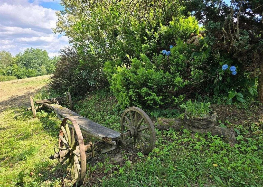 Działka budowlana na sprzedaż Kombornia  3 768m2 Foto 1