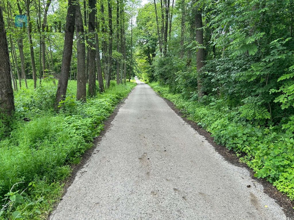 Działka budowlana 4100 m² z dostępem do mediów i świetną komunikacją Regulice, Regulice, Regulice  4 100m2 Foto 1