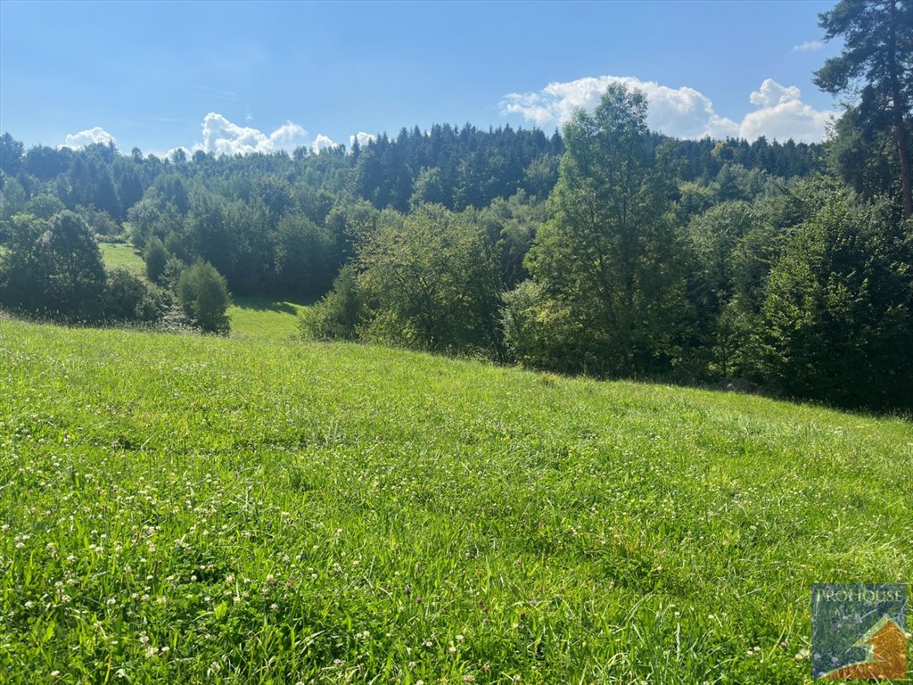 Działka budowlana na sprzedaż Koszary  2 200m2 Foto 7