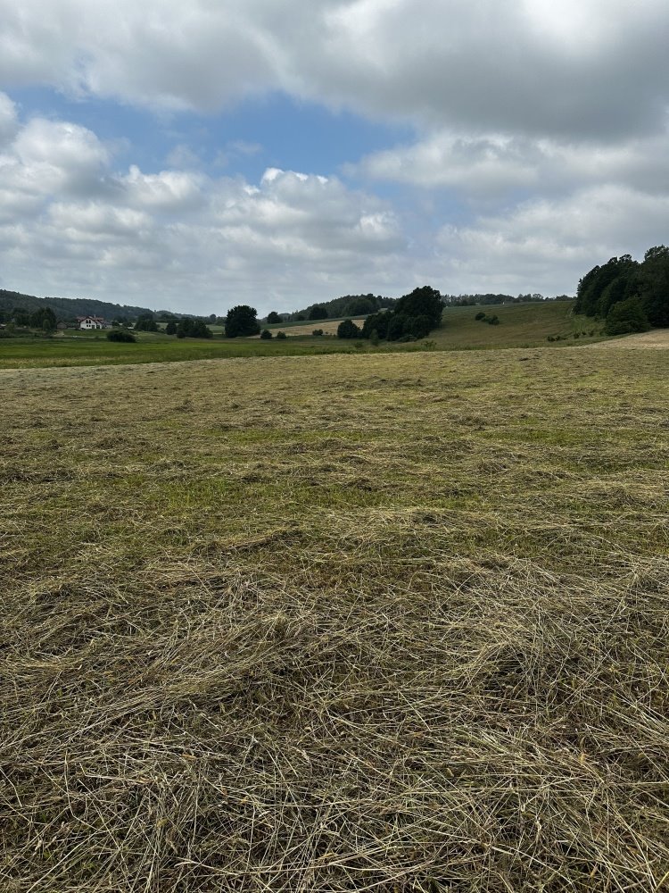 Działka budowlana na sprzedaż Warzno  1 007m2 Foto 1