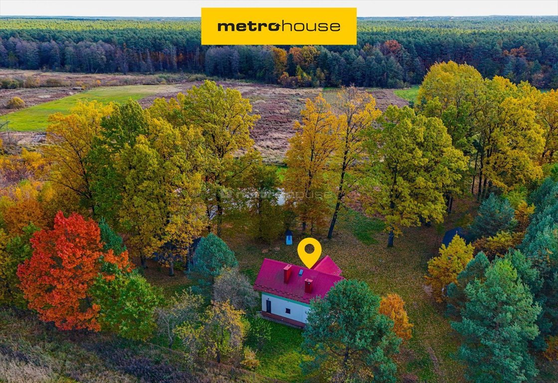 Działka budowlana na sprzedaż Ruda, Ulanowska  8 200m2 Foto 1