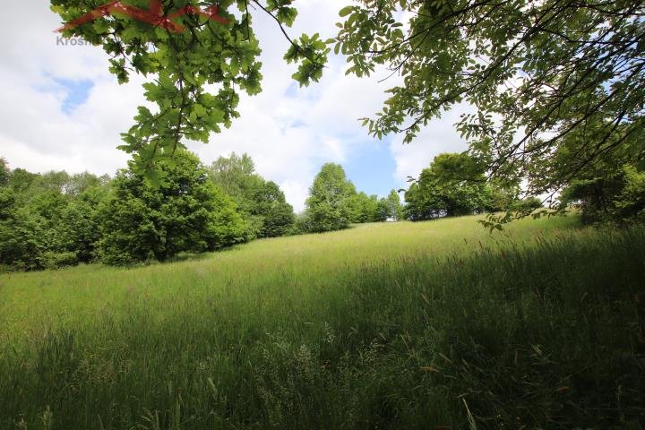 Działka leśna 42 500 m² z dostępem do mediów i pięknymi widokami Malinówka  42 500m2 Foto 1