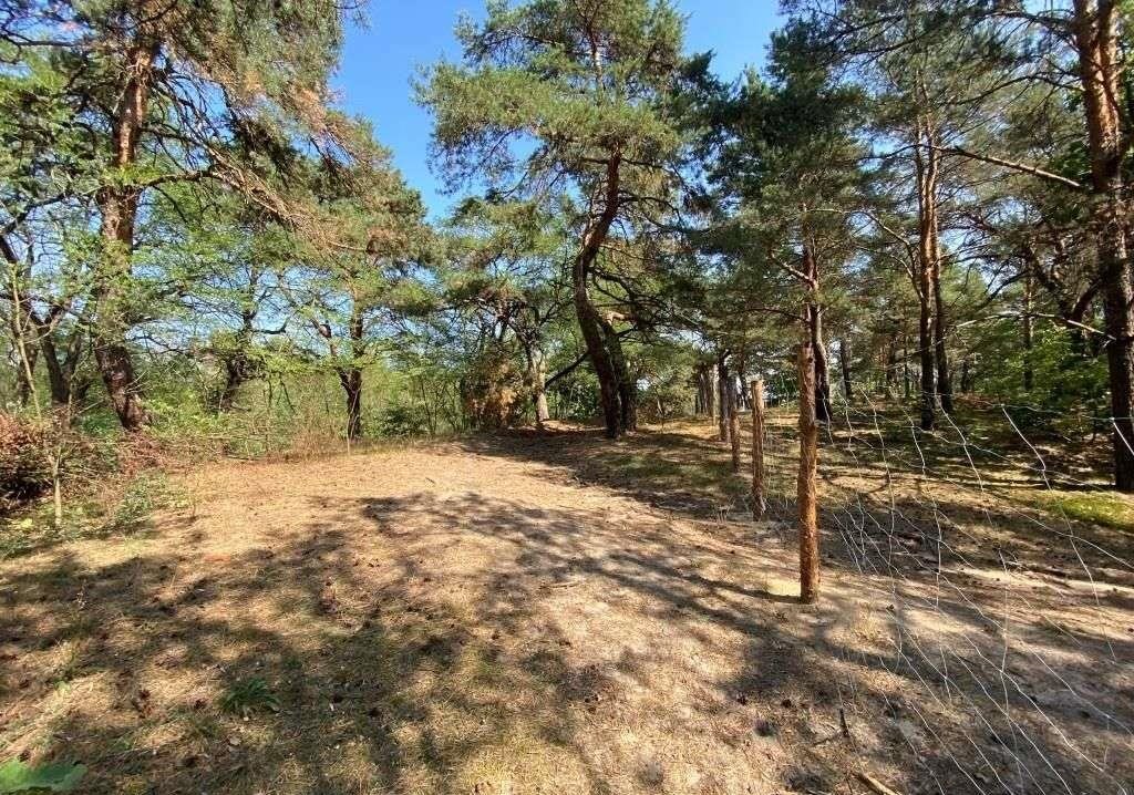 Działka budowlana na sprzedaż Marki, Bielówek  2 000m2 Foto 12