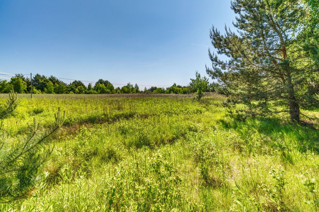 Działka budowlana na sprzedaż Majdan  3 000m2 Foto 15