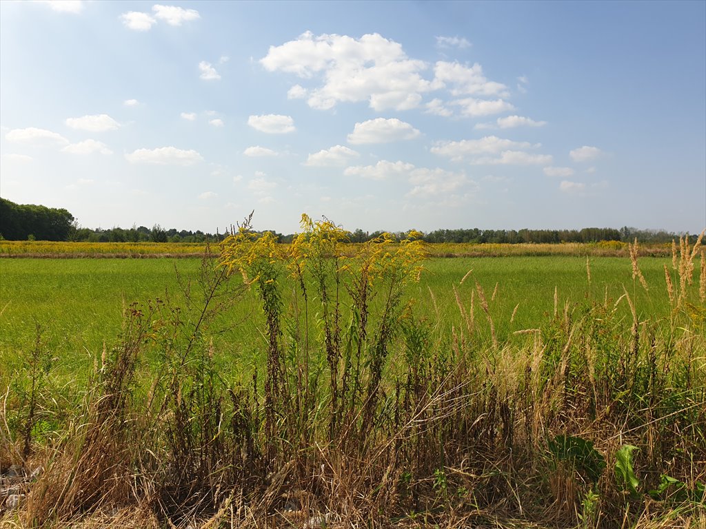 Działka budowlana na sprzedaż Warszawa, Ursynów, Dąbrówka  1 100m2 Foto 12