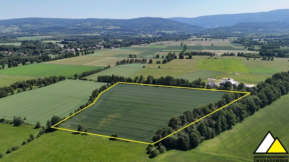 Duża działka 46 000 m² z widokiem na Góry Izerskie Mroczkowice  46 000m2 Foto 1