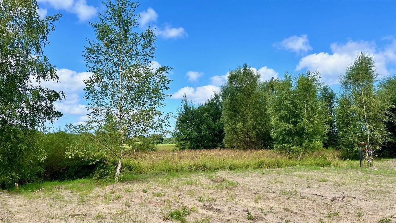 Działka budowlana na sprzedaż Budzistowo, Stare Miasto  1 591m2 Foto 11