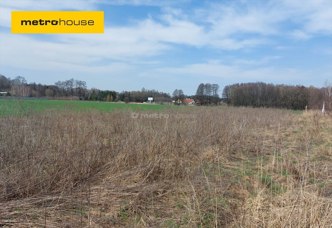Działka budowlana na sprzedaż Rąbień  950m2 Foto 1