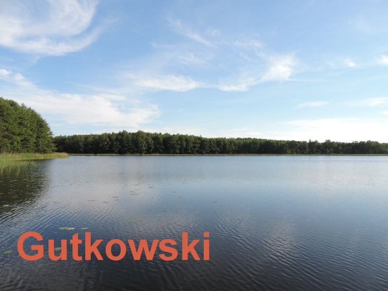 Działka rolna na sprzedaż Jamielnik, gmina Nowe Miasto Lubawskie  10 005m2 Foto 9